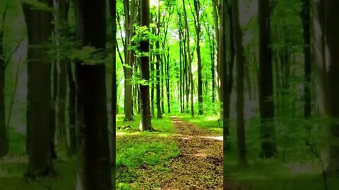Relaxing Music for Studying! Welcome to Relaxing Meditation Music