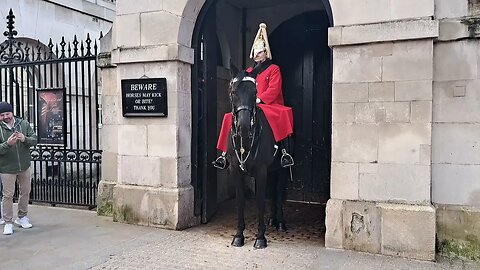 Horse in bad mood wants to bite (arnie thetouristhater) #thekingsguard