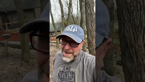 Potato experiment #atnoahshouse #gardening #ytpcpipecommunity #potatoes #woods #experiment #ytpc