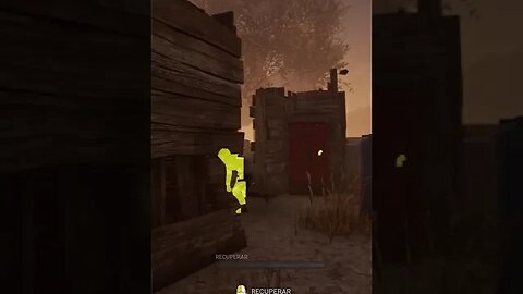 Esse pulou a janela sem querer