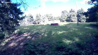Ragazzi in cerca di adrenalina rischiano la vita