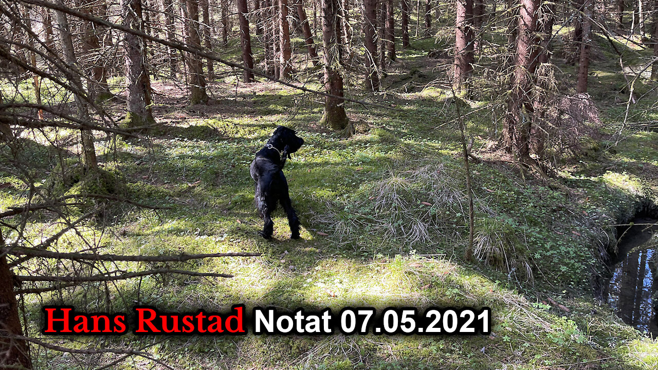 Skogpod 7. mai: Vi ønsker ikke vite det som truer vår virkelighetsoppfattelse