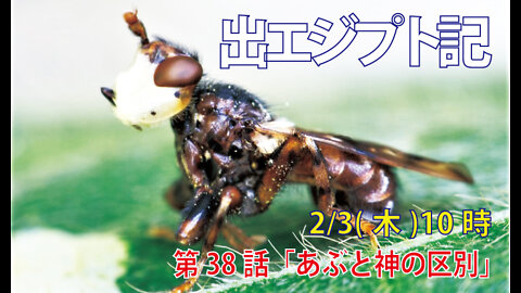 ｢あぶと神の区別｣(出8.20-24)みことば福音教会2022.2.3(木)