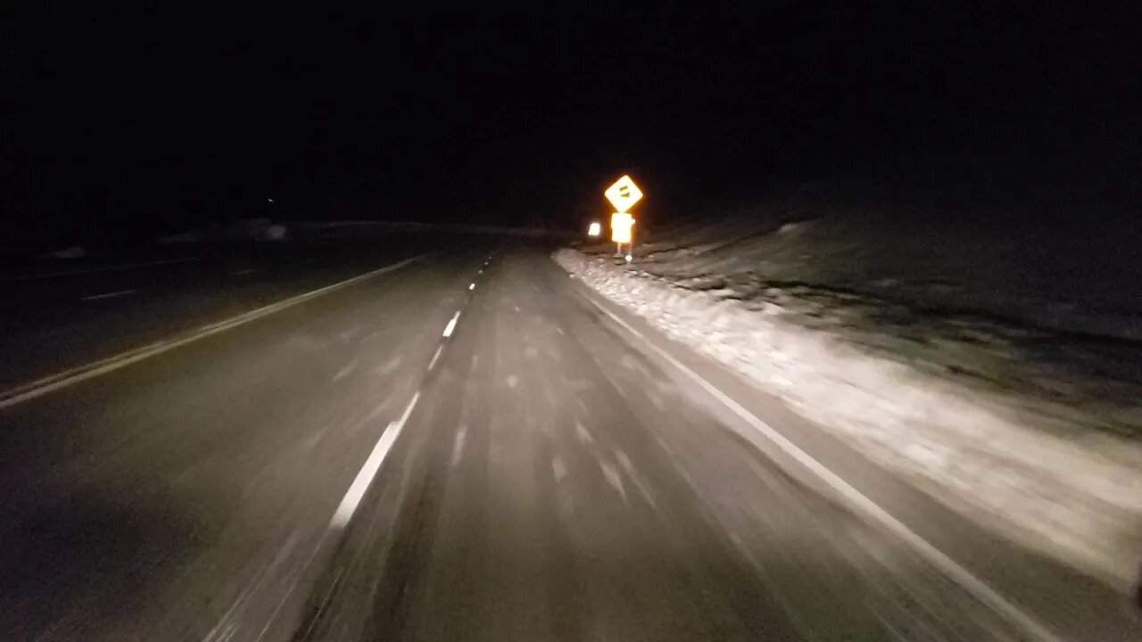 When Bigfoot Poops In The Woods Where Does It Go?