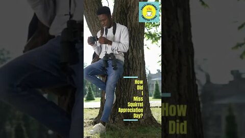 Squirrel Appreciation.mp4