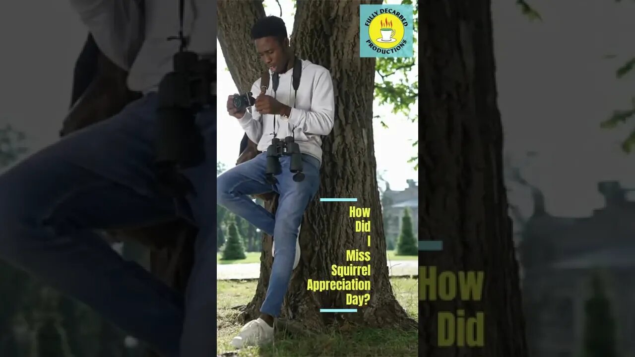 Squirrel Appreciation.mp4