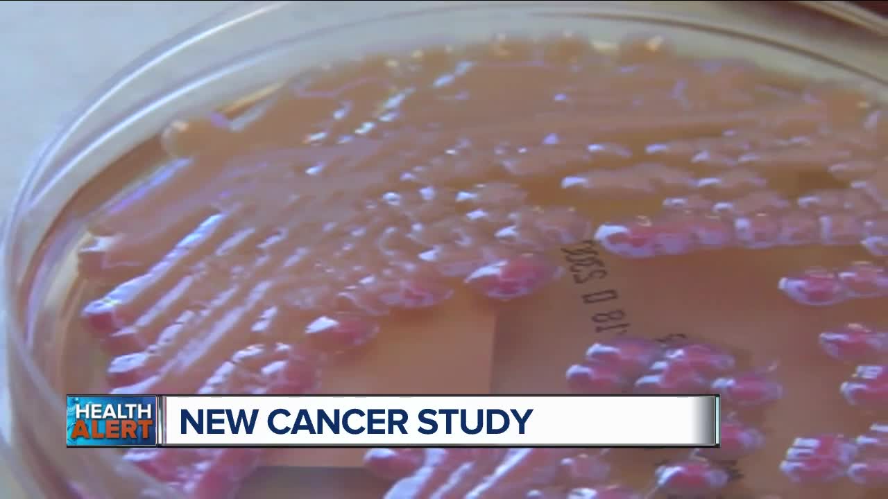 Ask Dr. Nandi: New cancer vaccine is 100 percent successful in mouse model
