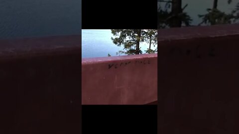 We Met Just the Nicest Little Graffiti
