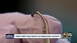 Maricopa County records its first West Nile death of 2019