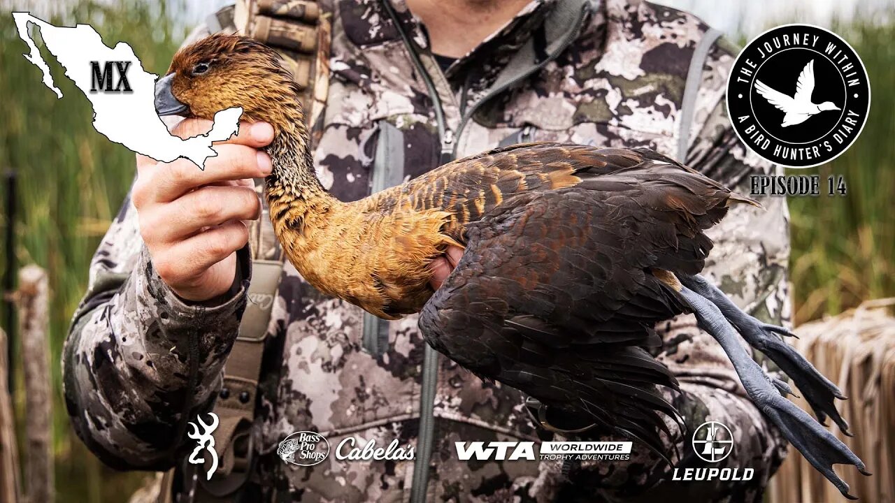 Only In Mexico - Fulvous Whistling Duck | The Journey Within, Waterfowl Slam