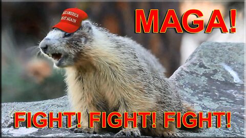 MAGA - FIGHT! FIGHT! FIGHT! - VOTE! VOTE! VOTE! - WIN! WIN! WIN!