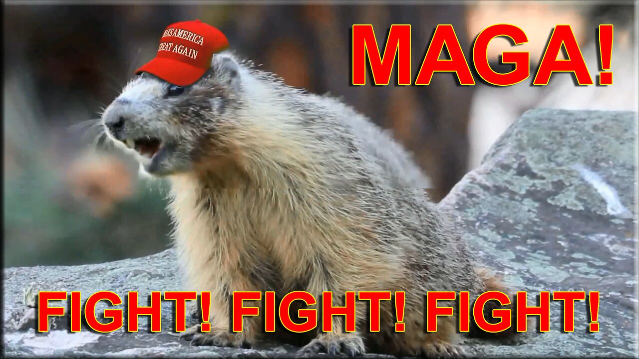 MAGA - FIGHT! FIGHT! FIGHT! - VOTE! VOTE! VOTE! - WIN! WIN! WIN!