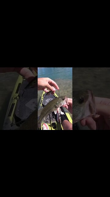 Cast Cray RETNA crank bait!