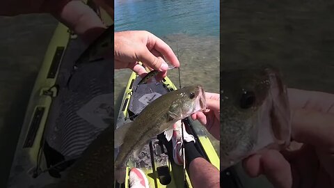 Cast Cray RETNA crank bait!