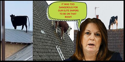 The Lack Of Experience Can Get You or Someone Else Killed