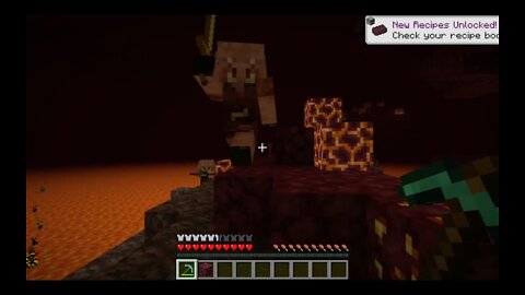 Minecraft Piglins in a Nutshell. . .