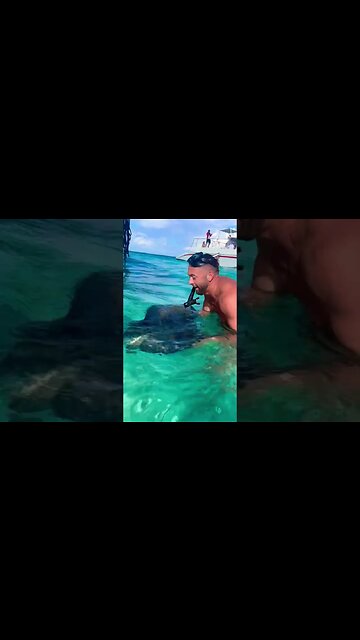 Catching Stingrays by hand in the Cayman Islands