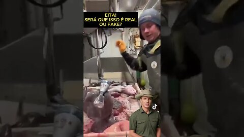 Será que este tipo de animal marinho sem corpo e sem a cabeça realmente mordeu esta lata de cerveja?