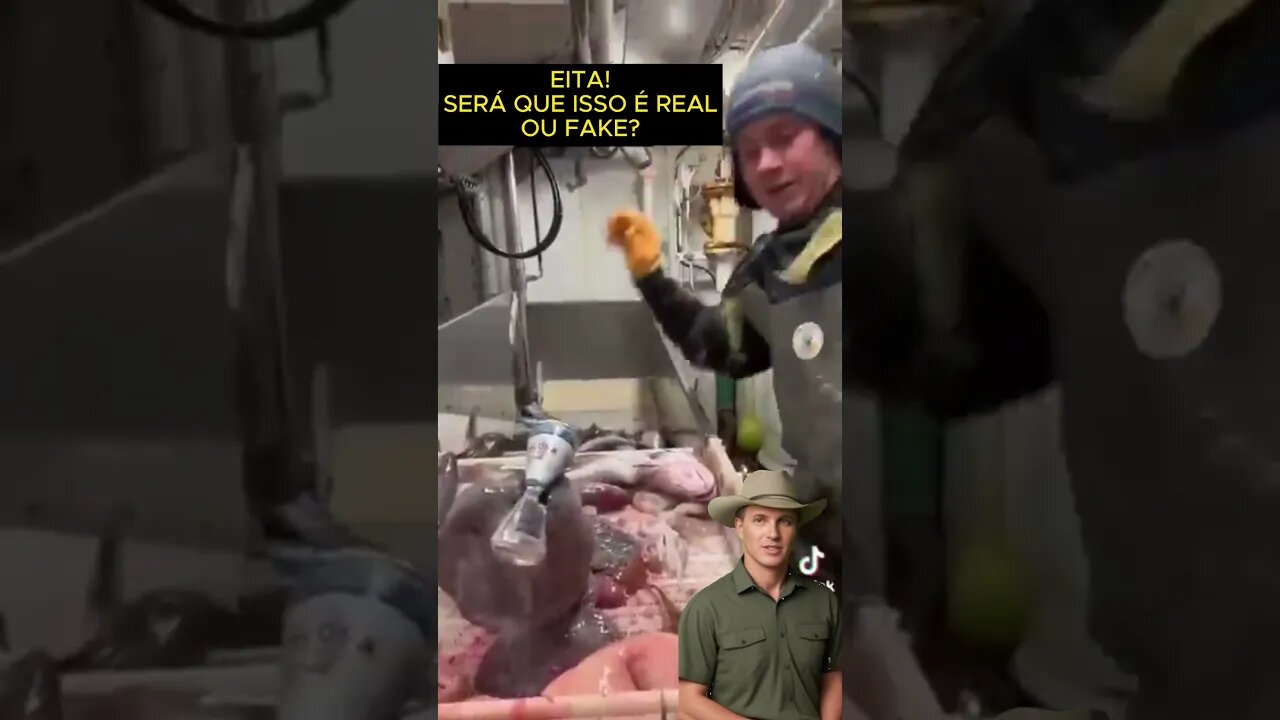 Será que este tipo de animal marinho sem corpo e sem a cabeça realmente mordeu esta lata de cerveja?