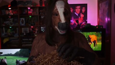A Classic Character Mr Ed Gives You some Personal Attention : Reverb , Hay