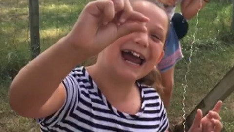 How To CREATIVELY Pull A Tooth