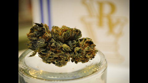 Gov. Scott appeals judge's ruling on medical marijuana law that industry feared would create chaos