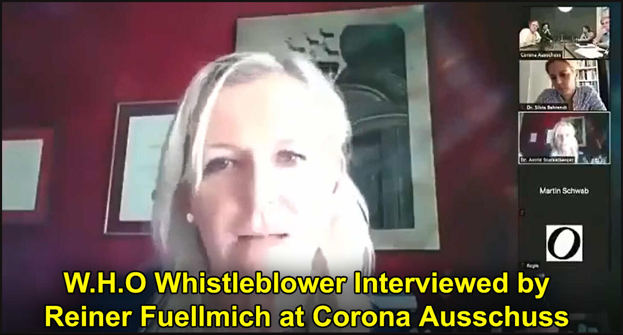 WHO Whistleblower Speaks With Reiner Fuellmich at Corona Ausschuss