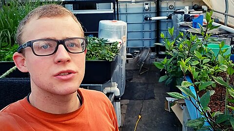 Aquaponic system build plan (changing up the layout of the system)