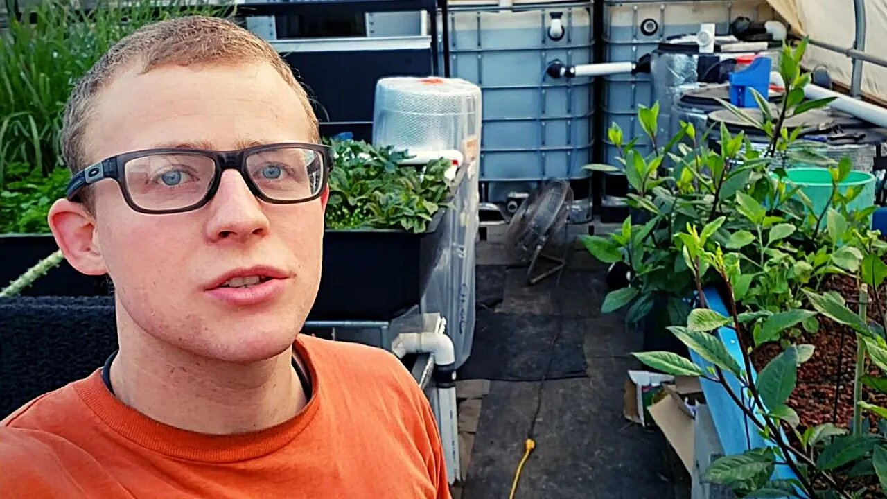 Aquaponic system build plan (changing up the layout of the system)