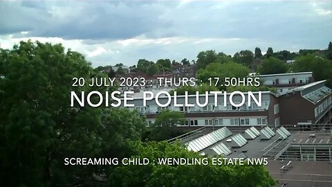 Noise Pollution : Screaming Child : Wendling Estate : 17.50hrs 20 July 2023