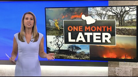 Government Completely Failed Lahaina Still No Accountability