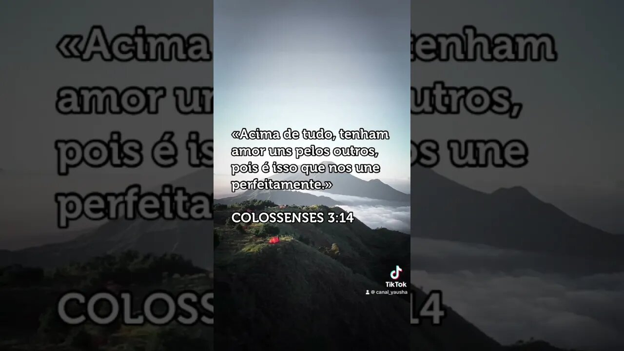Colossenses 3:14 #canalyausha