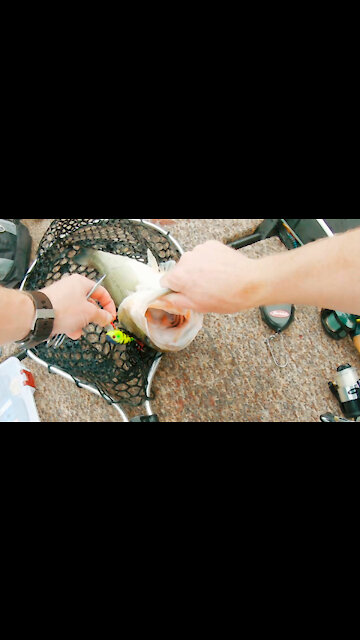 Mann's 1-Minus Crankbait Bass in a Jon Boat