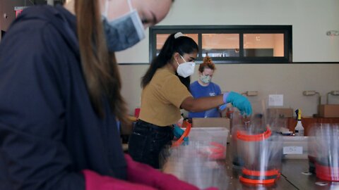 D.C. Student Started A Network Of 3D Printers To Provide PPE