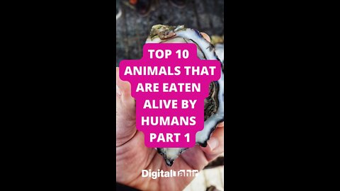 Top 10 Animals That Are Eaten Alive By Humans PART 1