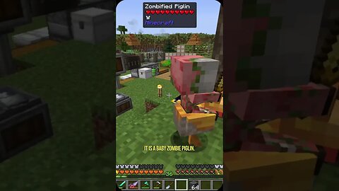 Is this little dude rare in Minecraft?
