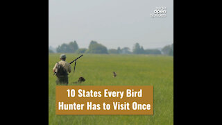 10 States Every Bird Hunter Has to Visit Once