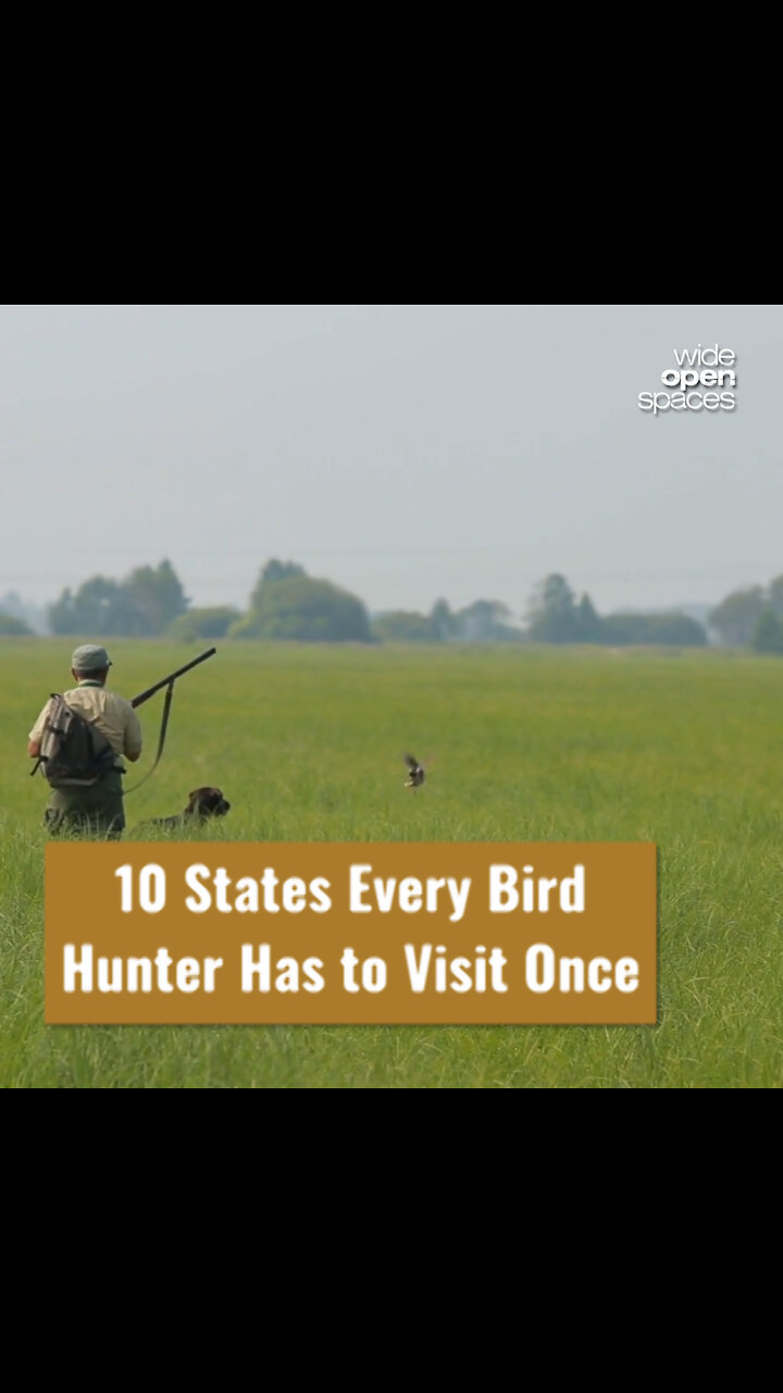 10 States Every Bird Hunter Has to Visit Once