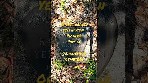 #infantgraves #taphophile #pioneer #yelvington #gravestone #tombstone #cemetery