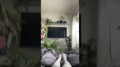 Tiktok Videos | Tavernoftinst | #fyp #short #tiktok #tiktokdance