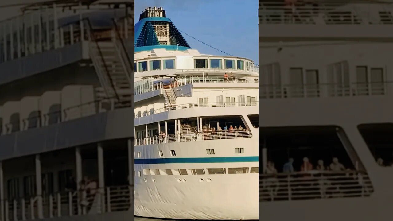 Gigantic cruise Old Port #viralvideo #montreal #travel