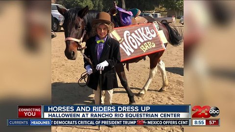 Horses and riders dress up for Halloween