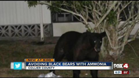 Collier man has cheap solution to bears getting in trash: use ammonia