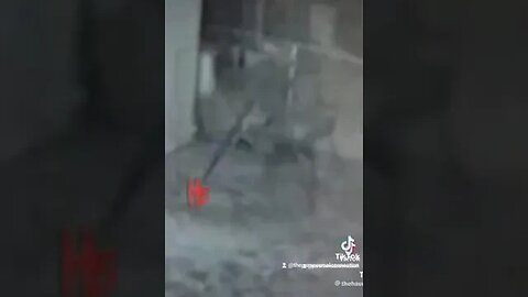 Something strange in Texas!