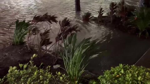 Reporter James Tully gives an update in Clearwater Beach