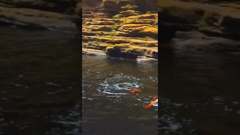 Cachoeira do Buracão, a mais linda da Chapada Diamantina #shorts