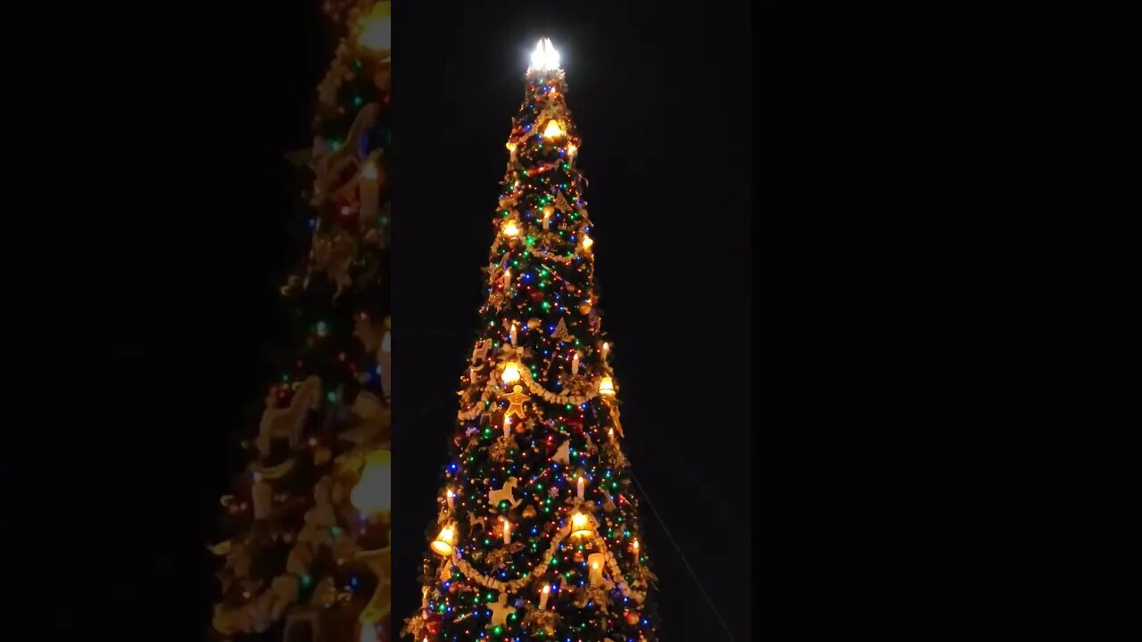 Magic Kingdom Christmas Tree | I Think Clark Griswold Would Approve