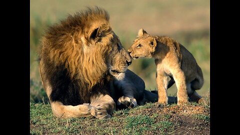 Szkic współpracy z Bogiem w swoim zbawieniu cz.10