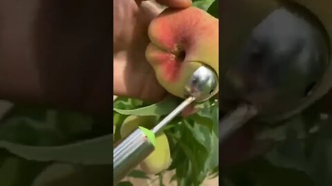 ASMR scooping peach / satisfying