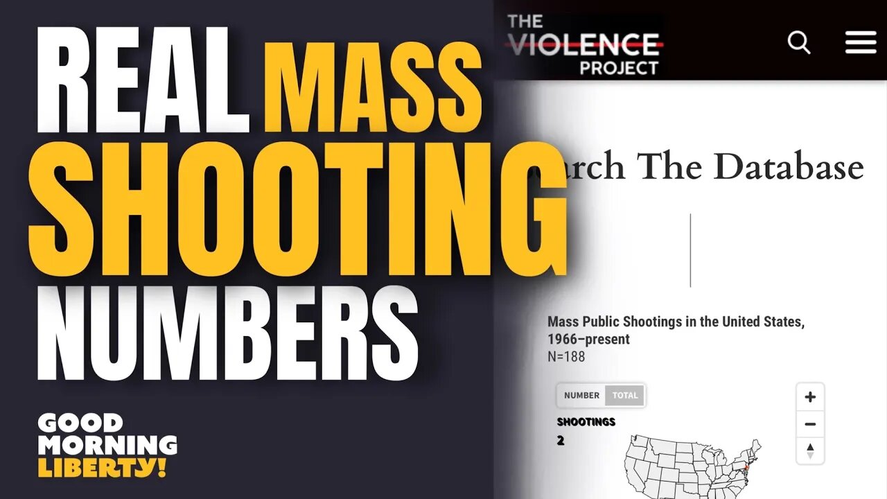 The REAL Mass Shooting Stats Are SHOCKING (CLIP)